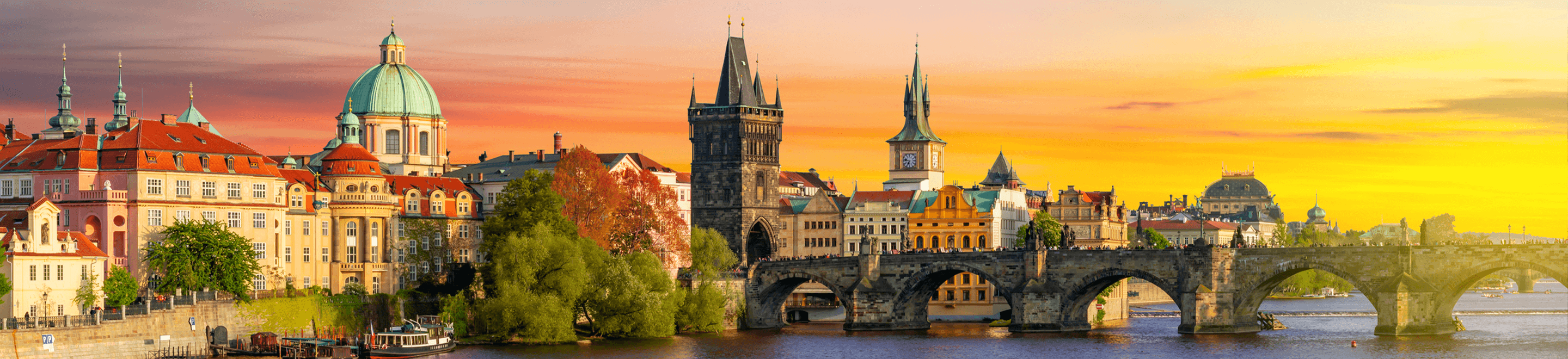 visa country banner